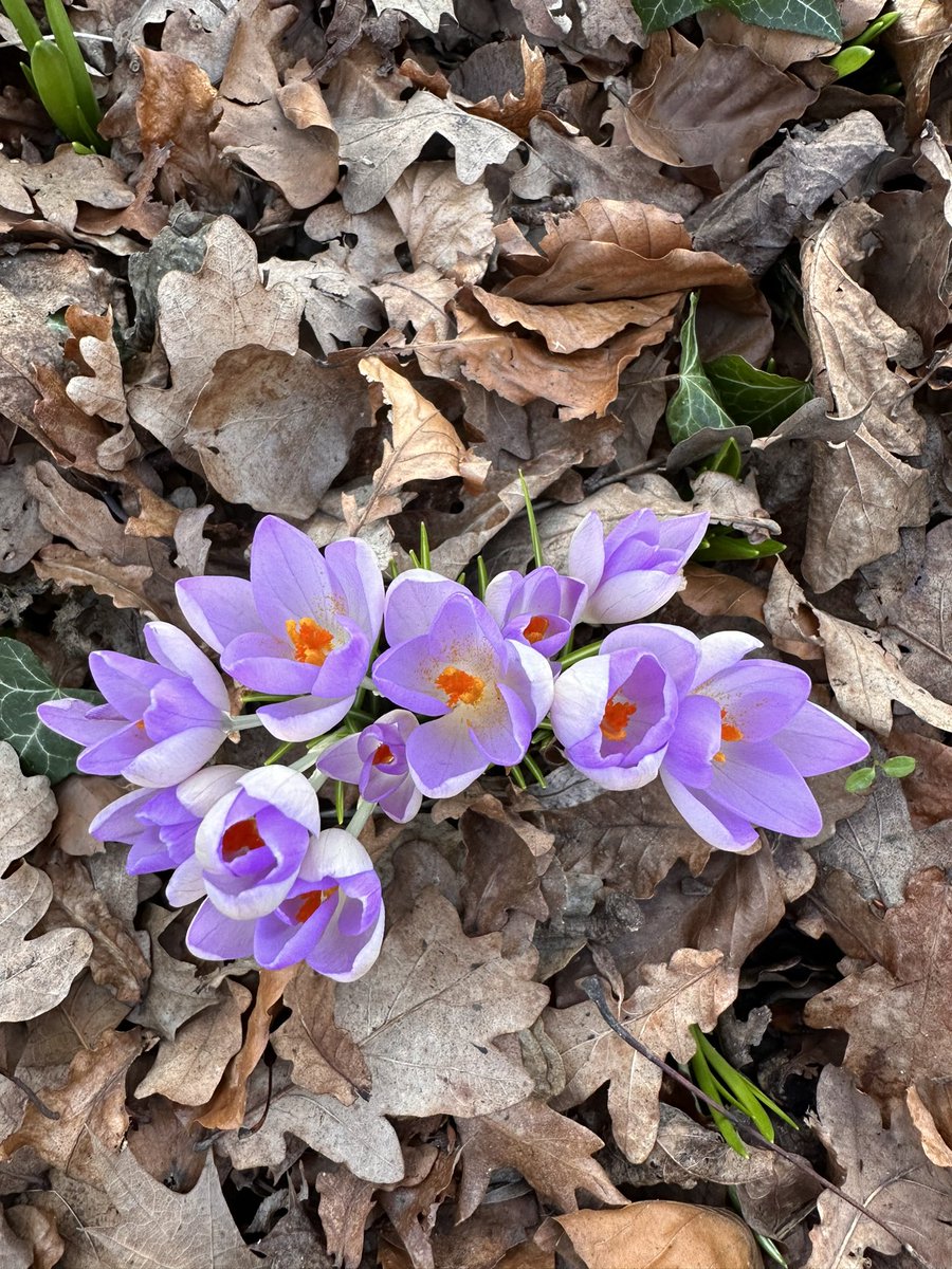 Outdoor Learning at Winsford High Street tweet media