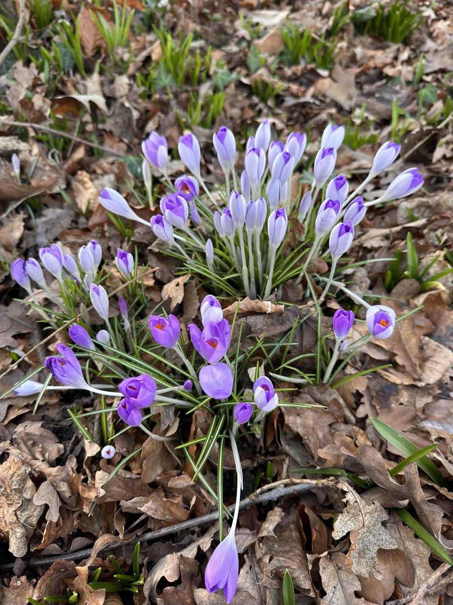 Outdoor Learning at Winsford High Street tweet media