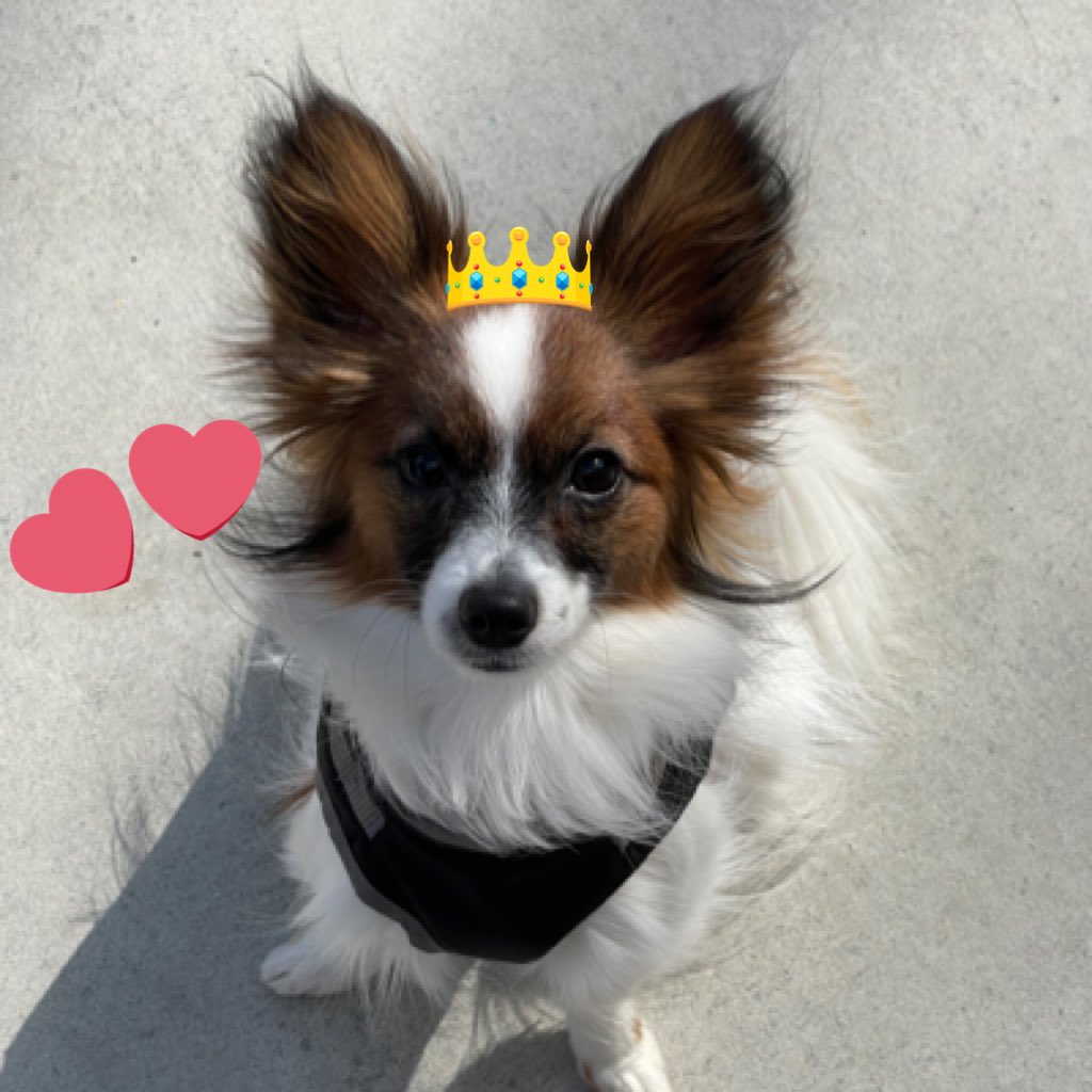 sara_193's tweet photo. #新しいプロフィール画像 https://t.co/yzXUGCnKwW
