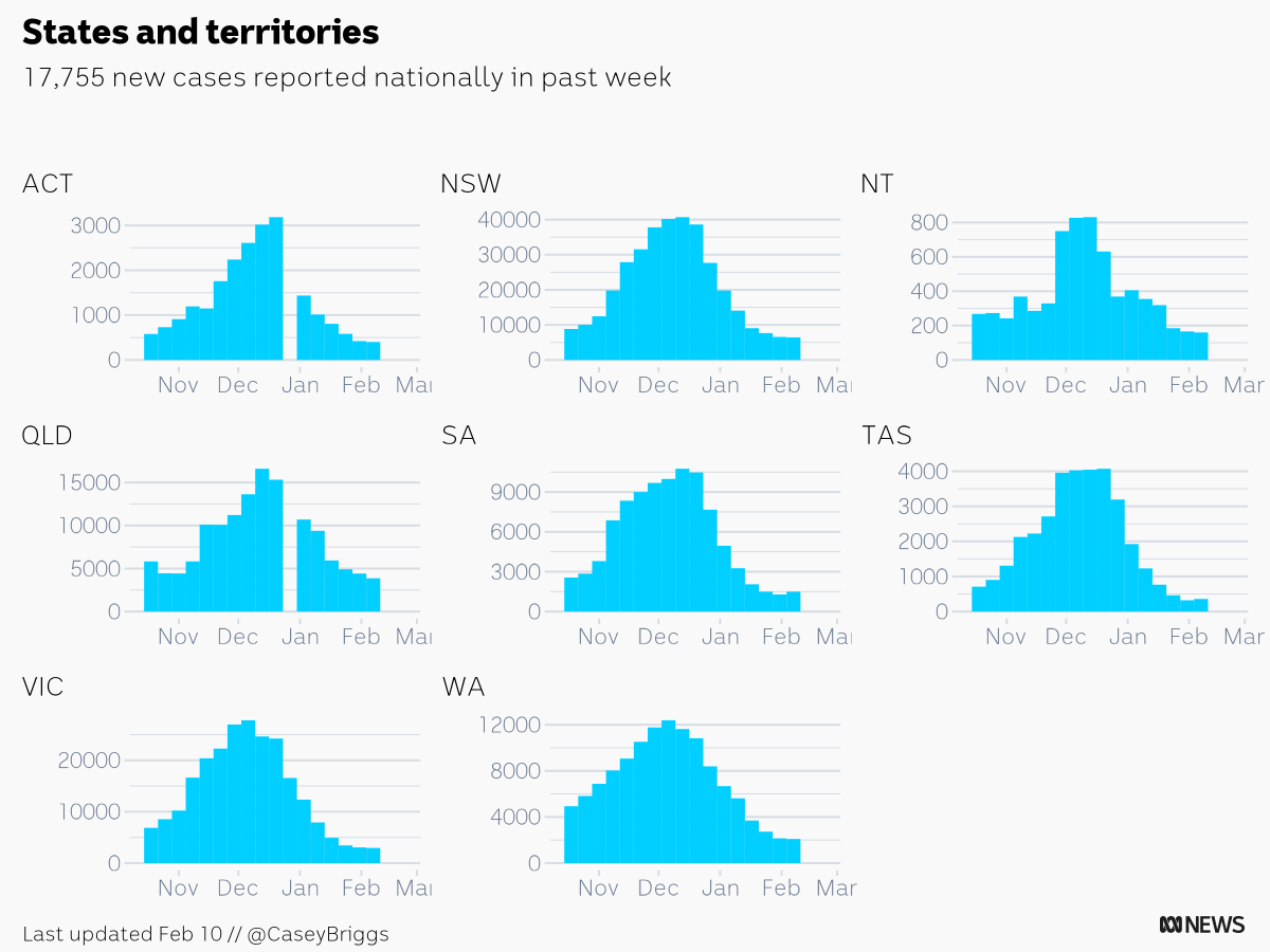 CaseyBriggs's tweet photo. There were 17,755 new COVID cases reported in Australia in the week ending Feb 10
ACT: 401
NSW: 6,440
NT: 160
QLD: 3,866
SA: 1,495
TAS: 359
VIC: 2,941
WA: 2,093
#c19chart https://t.co/97V5CQqaSp