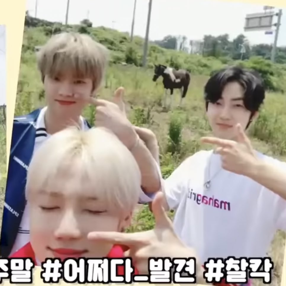 우리최찬희 (@letslovenew) on Twitter photo 