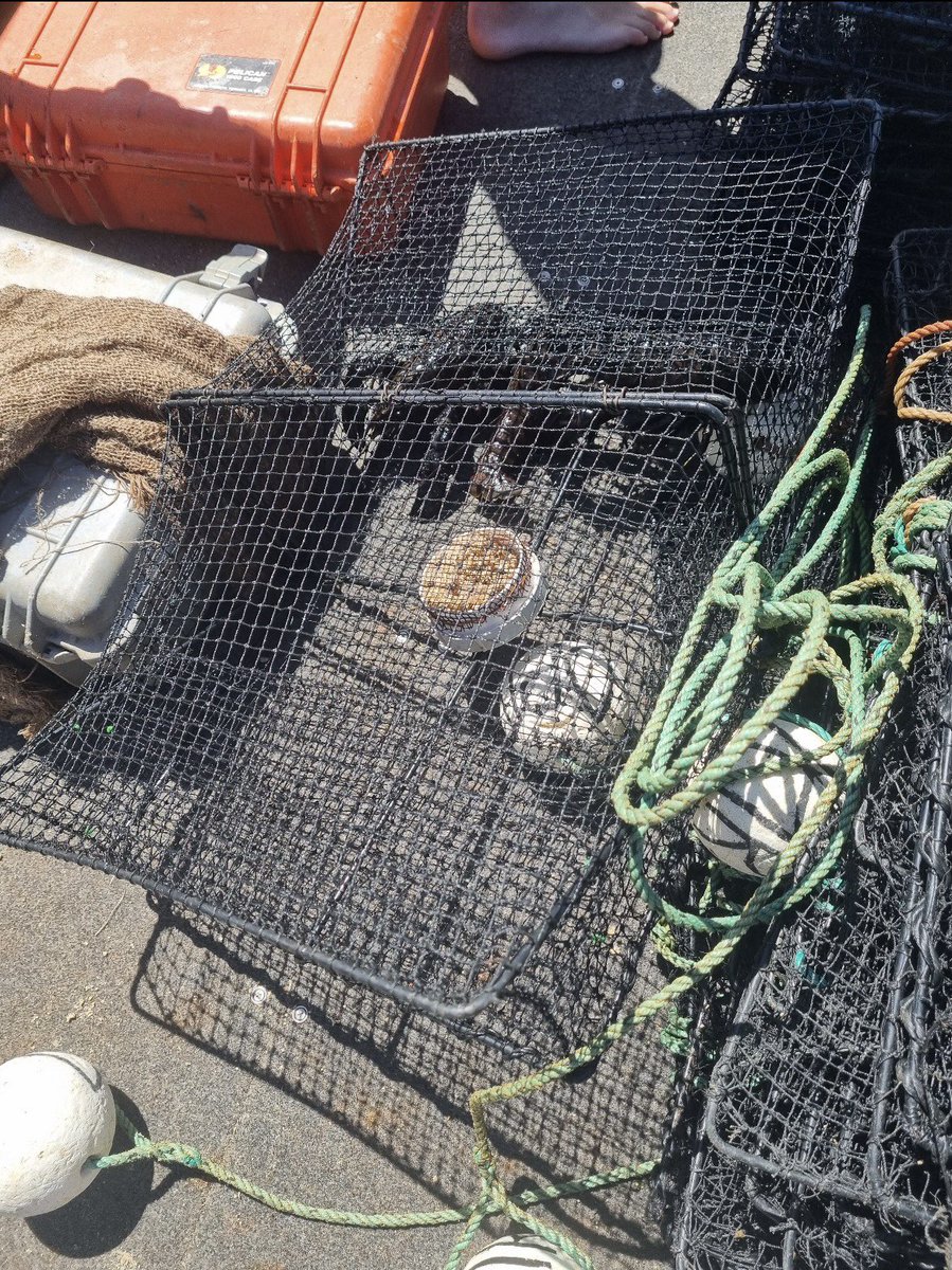 Harvey Police tweet media