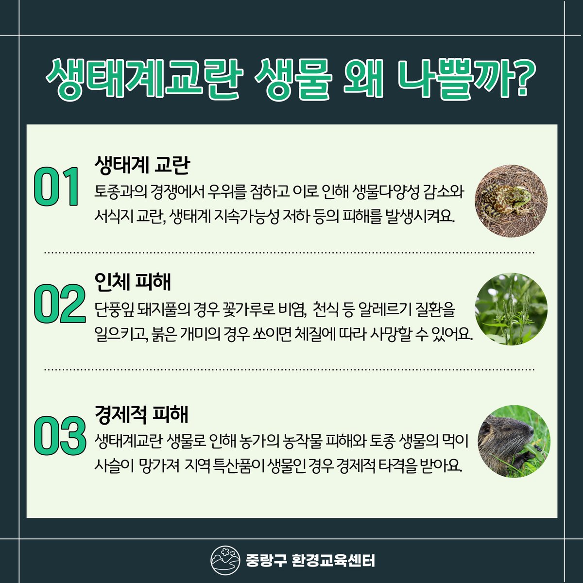 JungNang_Gu's tweet image. [🙋‍ 토종 생물을 위협하는
생태계교란 생물을 안내드려요! 2⃣] (총 2페이지)

이번 중랑구 환경교육센터 카드뉴스에서는
✔️ 생태계교란 생물의 종류와 나쁜 이유,
✔️ 기후변화와의 관련 등에 대해
소개해드립니다.

​#생태계교란_생물
#환경_카드뉴스
#중랑구_환경교육센터