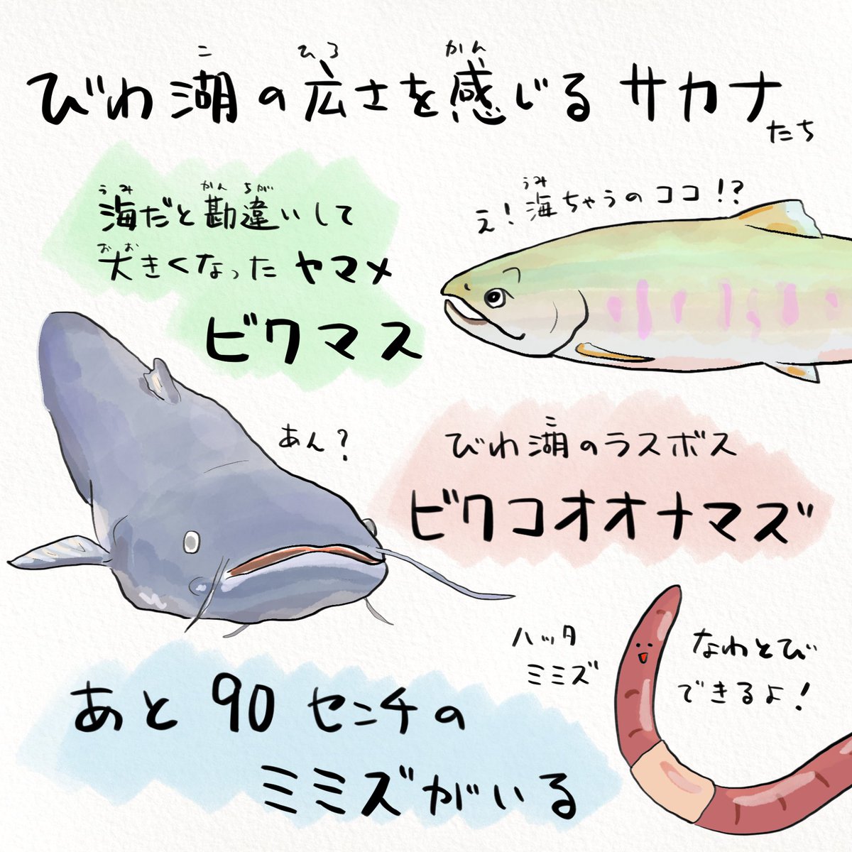 琵琶湖博物館の水族展示室は生き物の生態だけじゃなく文化や歴史も教えてくれます。復旧されたらみんなで遊びに行こう! 