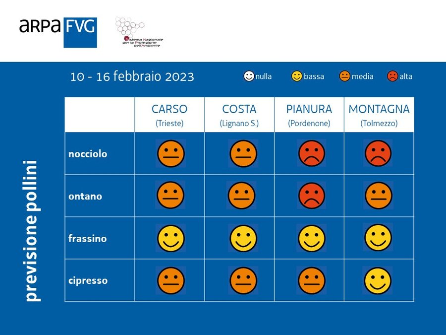 ARPAFVG's tweet photo. Pollini molto abbondanti in #friuliveneziagiulia. Attenzione a #nocciolo, #ontano e #cipresso. Previsioni e dati https://t.co/8FPcy3EbWG
#polliniFVG
#polnet
#allergy https://t.co/jNjhyUGW9m