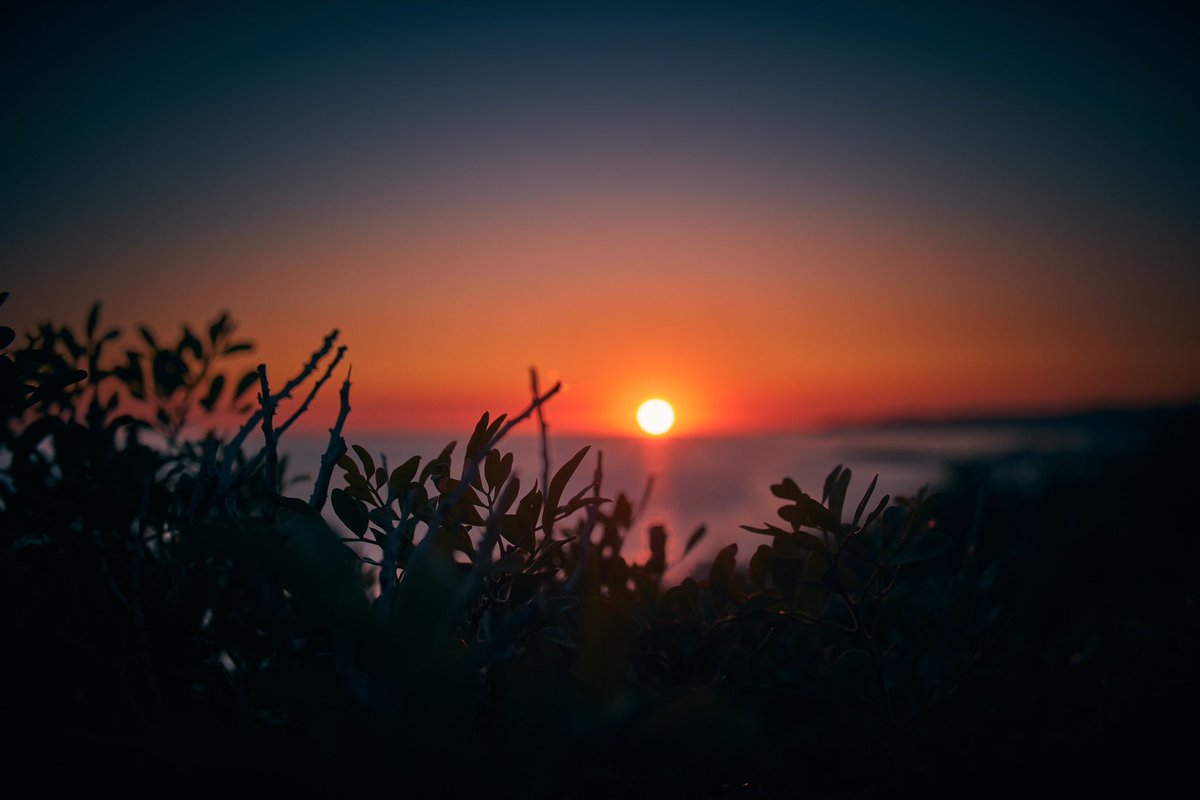 joanlopezphoto's tweet photo. The sunset bathes the stems
📸 Fujifilm X-T5
📷 Fujinon XF 16-55mm F2.8 R LM WR
#sitges #garraf #elgarraf #costesdelgarraf #sun #sunset #sea #seascape #seaside #landscape #horizon #sky #stems #sunsetlovers #sunsethunters #photooftheday #picoftheday #photographer #photography https://t.co/De0iywYe5R