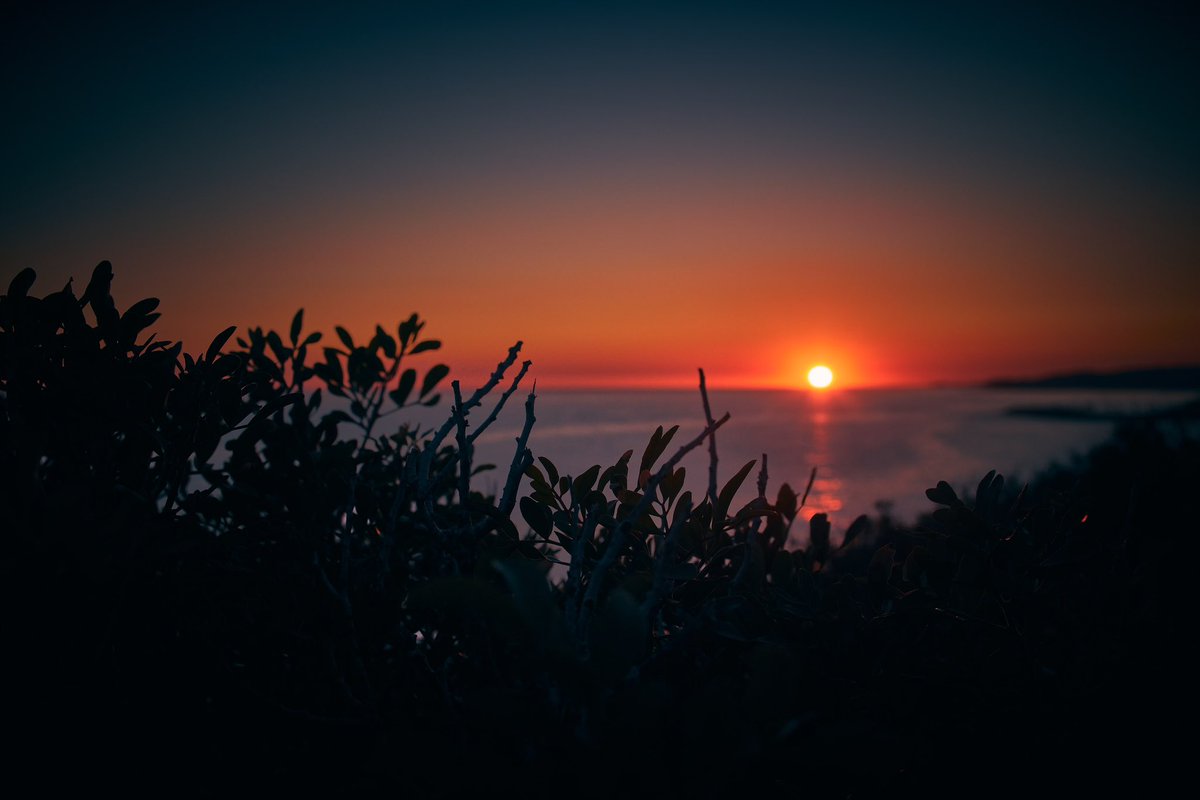 joanlopezphoto's tweet photo. The sunset bathes the stems
📸 Fujifilm X-T5
📷 Fujinon XF 16-55mm F2.8 R LM WR
#sitges #garraf #elgarraf #costesdelgarraf #sun #sunset #sea #seascape #seaside #landscape #horizon #sky #stems #sunsetlovers #sunsethunters #photooftheday #picoftheday #photographer #photography https://t.co/De0iywYe5R
