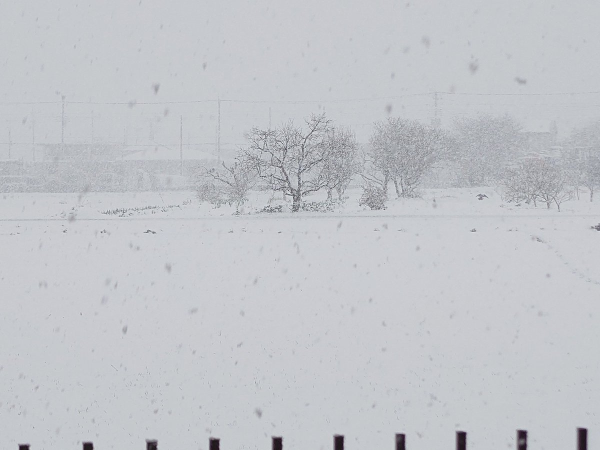 leontoissho's tweet photo. どうしてもやりたかった憧れてたボンネットにSEA雪アート！(真似っ子ごめんなさい🙏)
できたぁー✨⛄️❅
(クオリティには触れないでください🤣)
 #SEAアート  #SHOWROOM  #SEAROOM https://t.co/DSS2S6OOW1