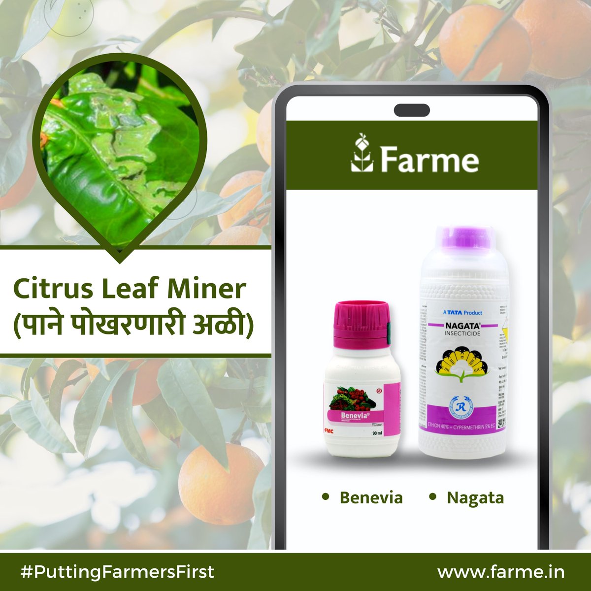 farmeofficial's tweet photo. संत्रा व मोसंबी झाड नष्ट होण्यापासून वाचवा, 
Farme कडे आहेत समाधान, Trusted brands चे 100% original products तुमच्या पिकांना साठी. 

सर्वोत्तम उत्पादनासाठी आत्ताच Order करा कॉल (+91 8441844135) वर किंवा https://t.co/xXGwlwaTN4 वरून!!

#puttingfarmersfirst #pesticide https://t.co/oZOgM6Z1iw