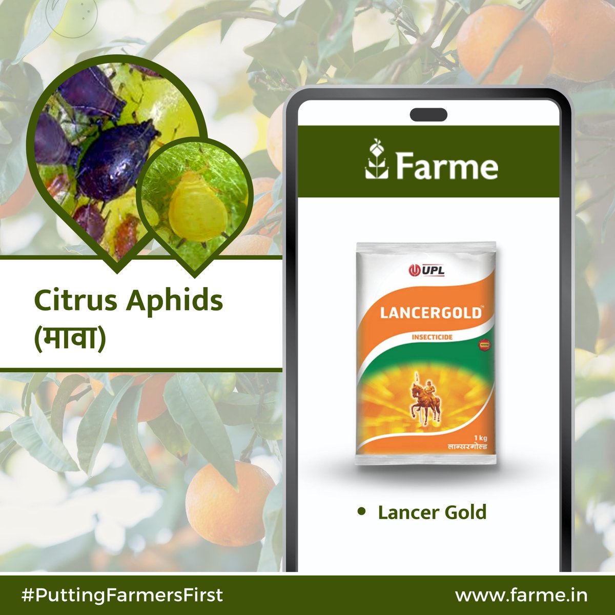 farmeofficial's tweet photo. संत्रा व मोसंबी झाड नष्ट होण्यापासून वाचवा, 
Farme कडे आहेत समाधान, Trusted brands चे 100% original products तुमच्या पिकांना साठी. 

सर्वोत्तम उत्पादनासाठी आत्ताच Order करा कॉल (+91 8441844135) वर किंवा https://t.co/xXGwlwaTN4 वरून!!

#puttingfarmersfirst #pesticide https://t.co/oZOgM6Z1iw