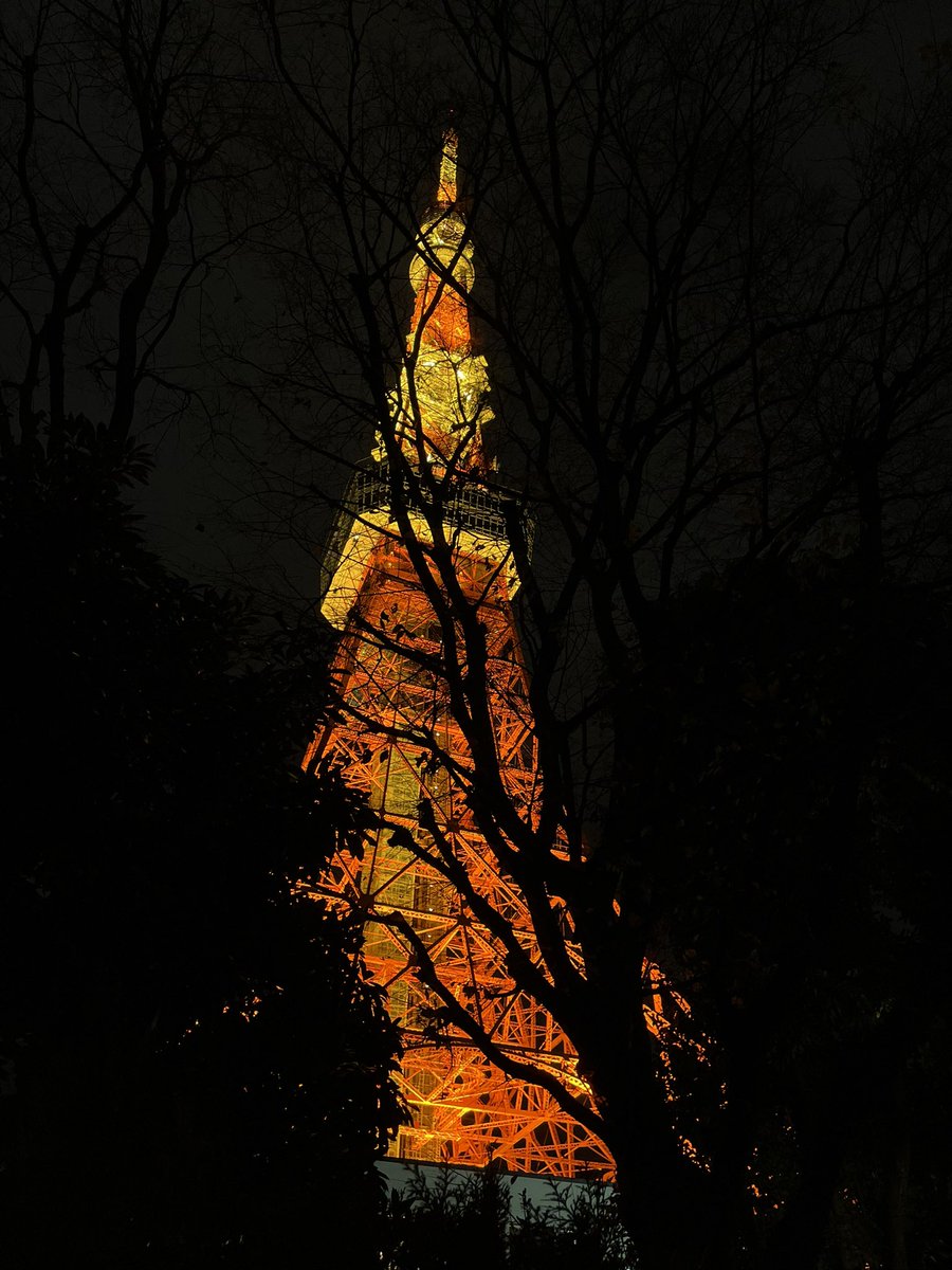 chithuspriya's tweet photo. Majestic! #tokyotower #japan #tokyo https://t.co/GBiPvPz2Mf