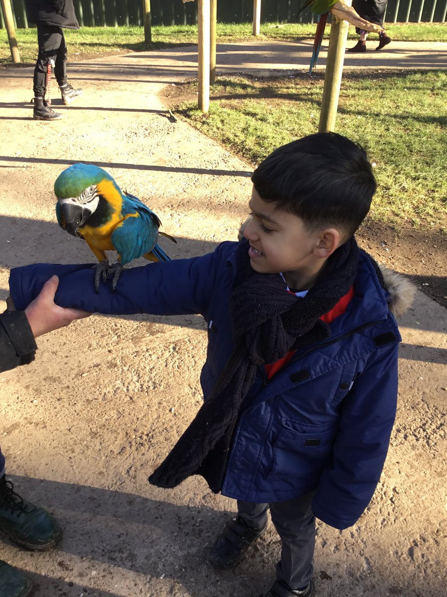 F2 had an amazing time this week meeting some feathery friends! What an amazing way to learn about birds!
