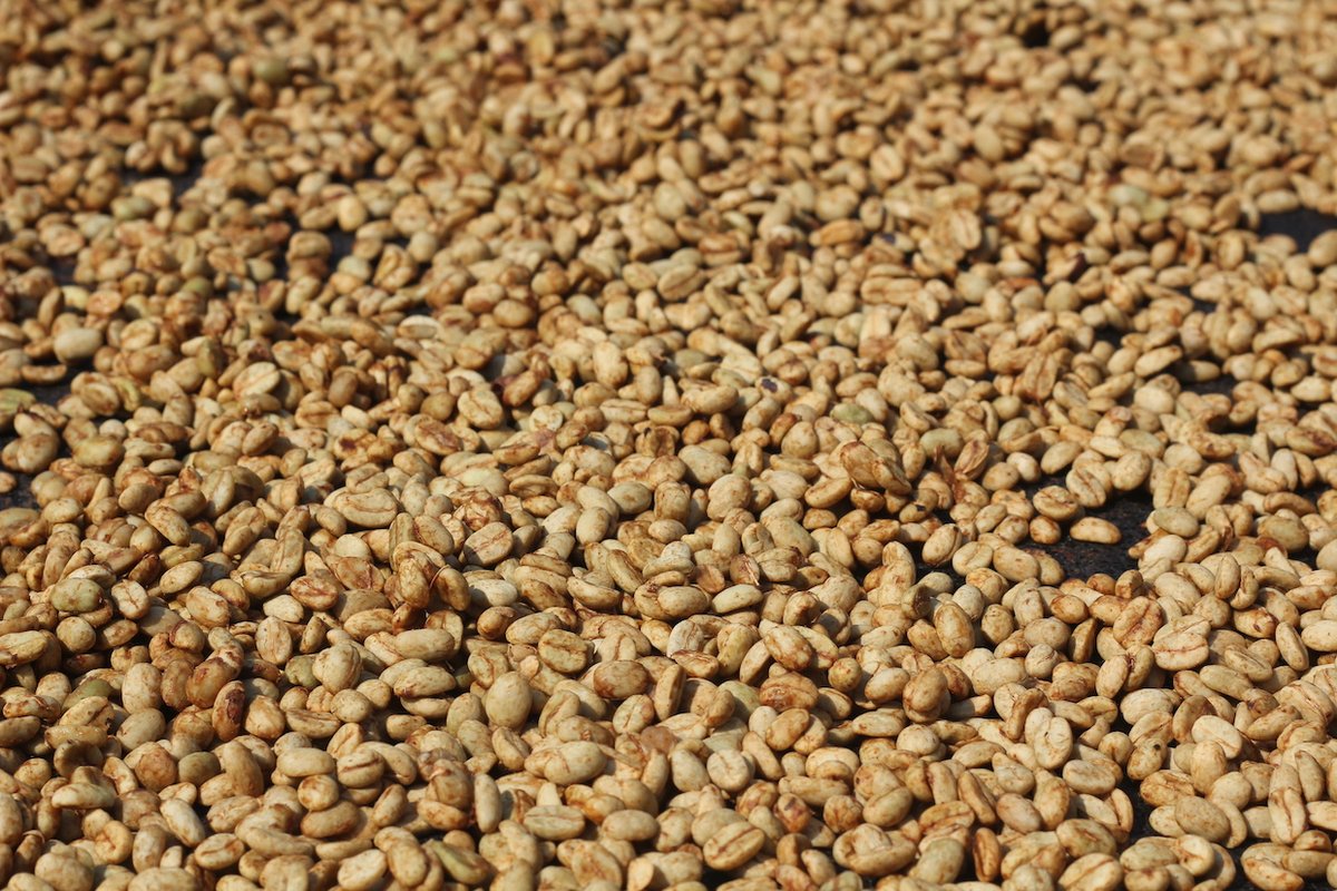 One to read over your morning coffee...

bit.ly/40HjxZE 

#coffee #sustainability