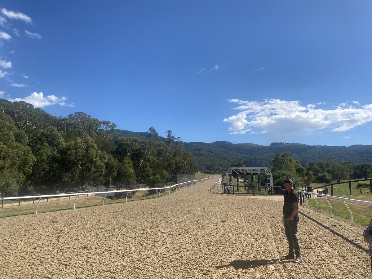 Horse Heaven - exciting times ahead <a href="/HowleyRacing/">Liam Howley Racing</a>