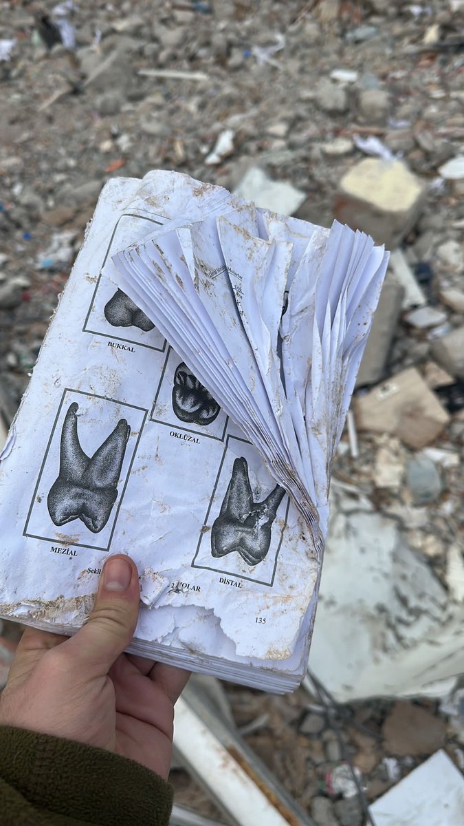 Emeklerine Allah şahit gencecik hekimler ölüyor göz göre göre <a href="/danlabilic/">.</a> @CansevenCemal <a href="/haluklevent/">Haluk Levent ( Ahbap Ekibi )</a> <a href="/Drsuleymanklnc/">Dr. Süleyman Kılınç</a> 
DİLEKAPARTMANI