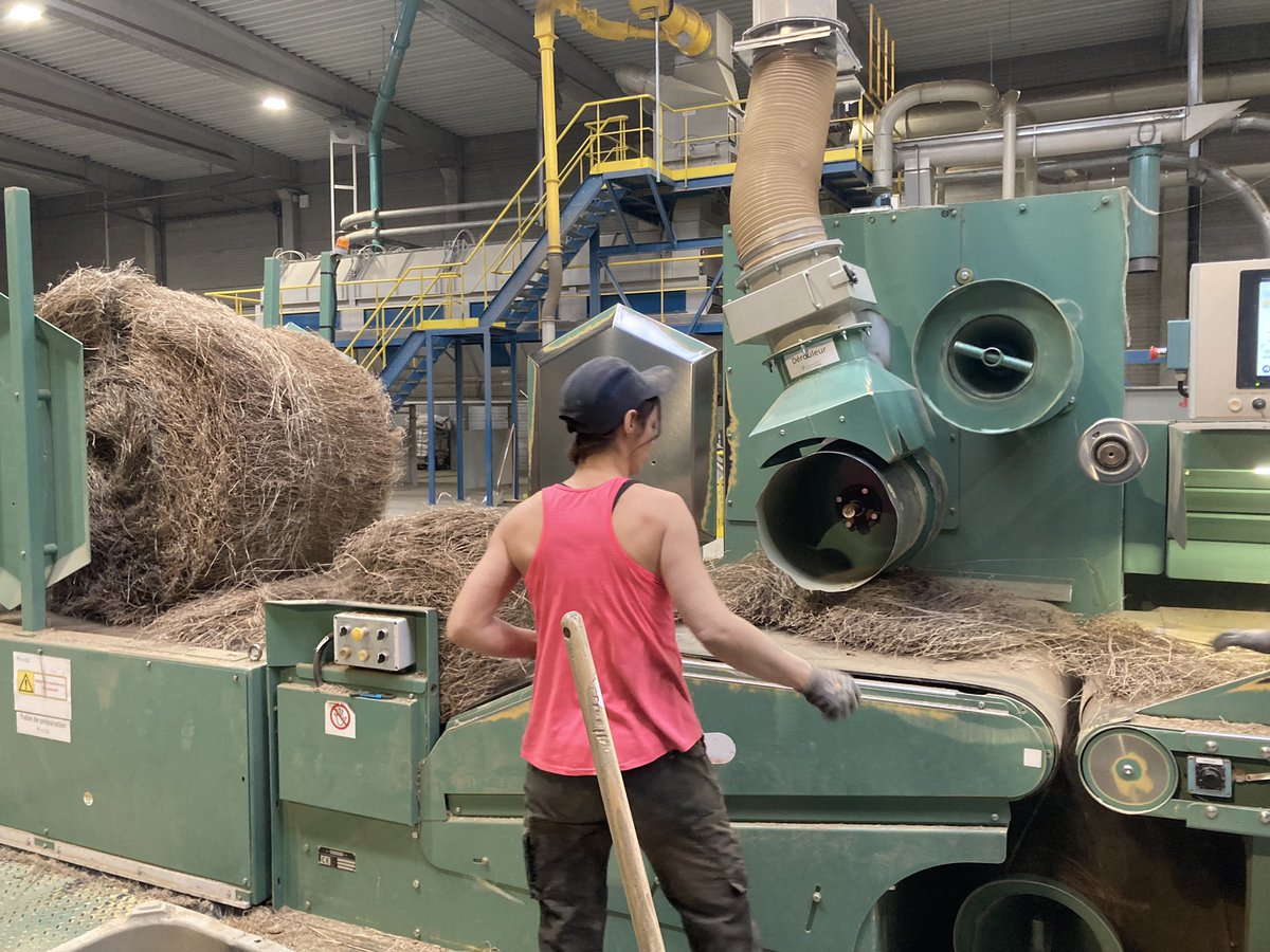 Guillaume LE POGAM 🪱🐝🐞🌾🌻🌽 tweet media