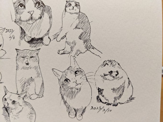 😺😺狸 カキカキ。 