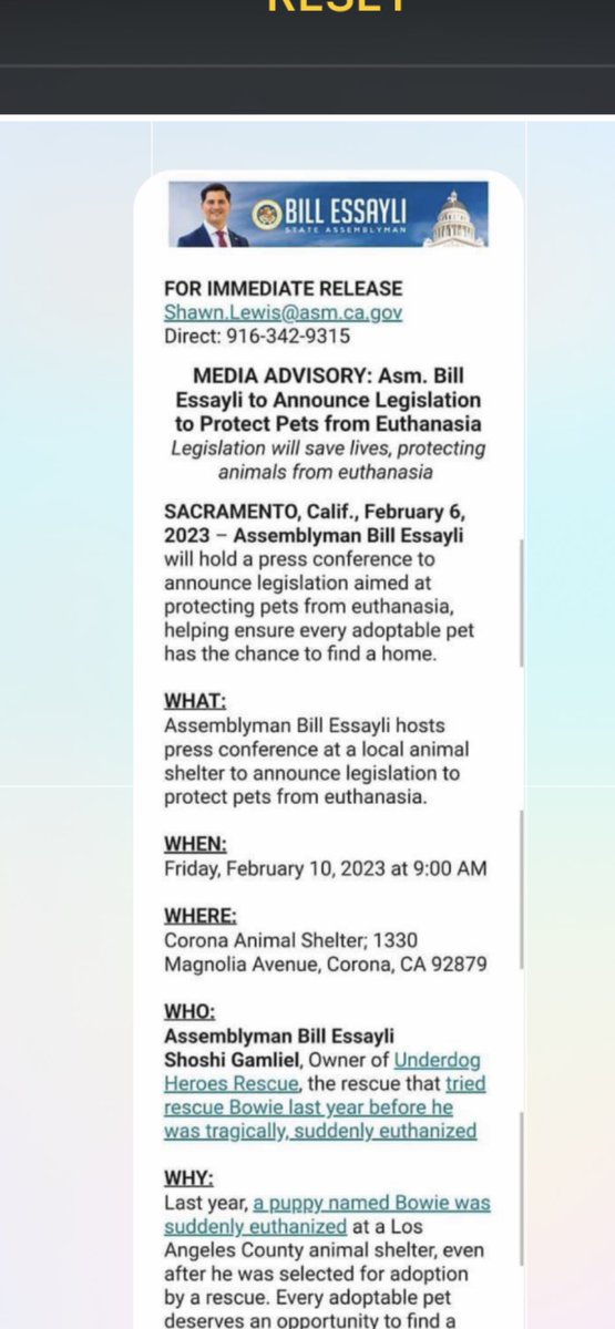 catearthjustice on Twitter "RT Billylittlebit Asm. Bill Essayli is