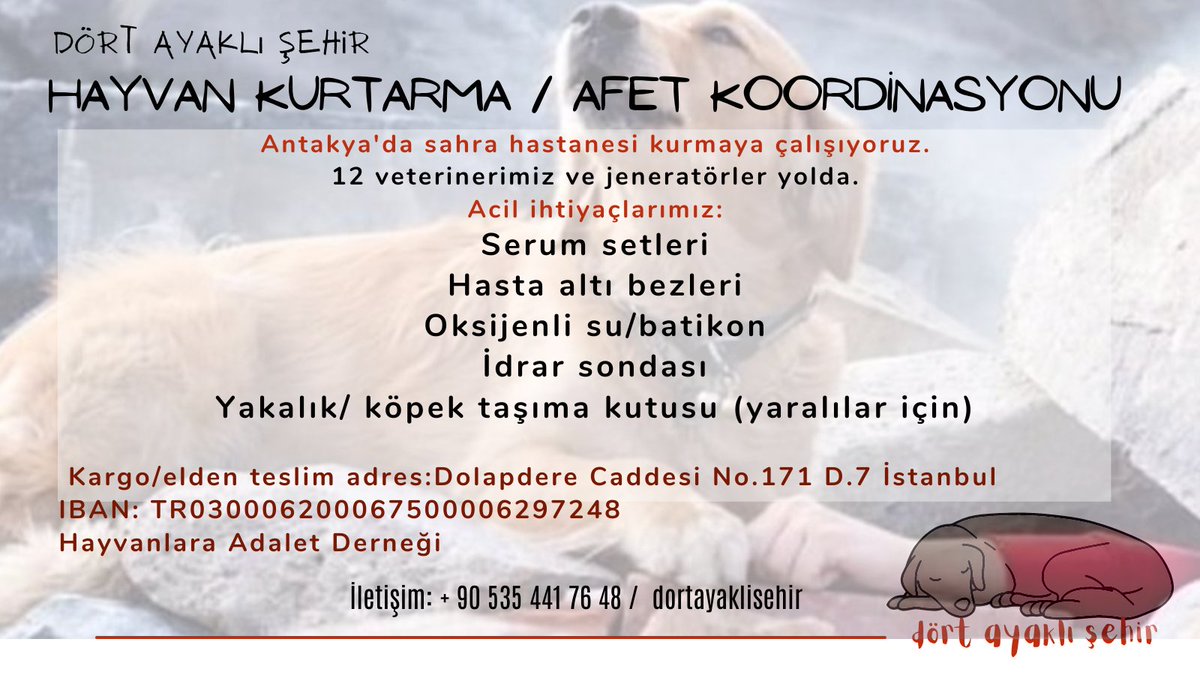 #Antakya'da hayvanlar için sahra hastanesi kurmaya çalışıyoruz. 41 kişilik veteriner gönüllümüz var. İstanbul'dan yola çıkacaklar. 

Tıbbi malzeme eksiğimiz var. 
📌Hasta altı bezi
📌 Serum/sonda setleri
📌Büyük köpek/yaralı taşıma kutusu

#depremsondakika 
#depremhatay