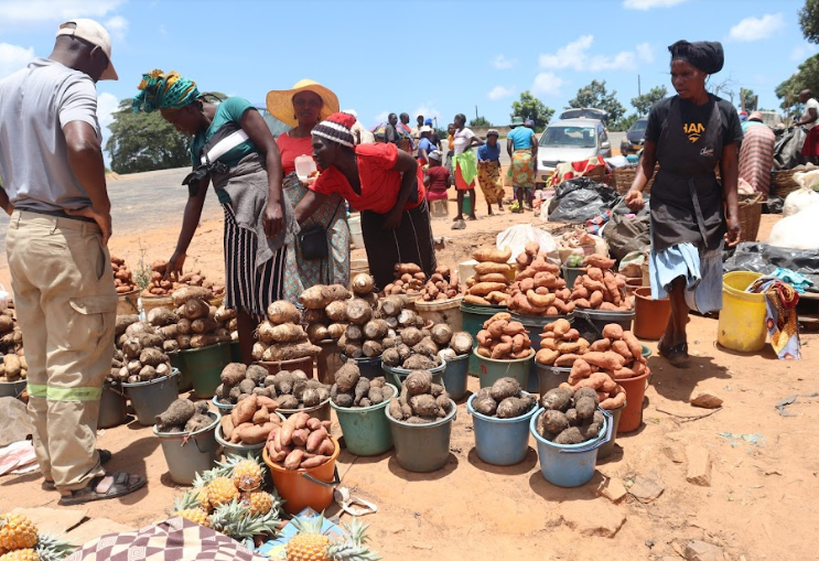 The construction of Jopa Market Under @ZIRP_Zimbabwe is a development women like Mbuya Jabu have dreamed and hoped for, a safe roadside marketplace for community smallholder farmer traders mainly women and youths. #womenempowerment