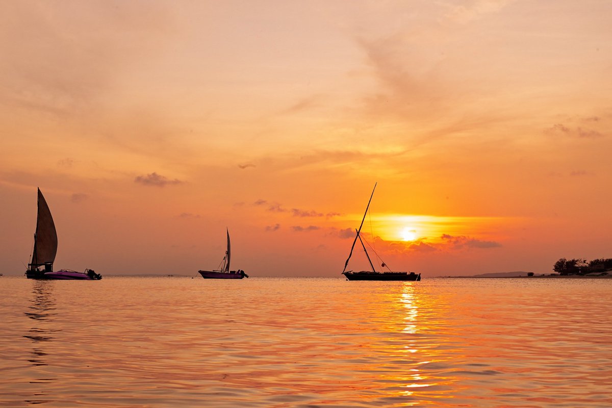 SplendixLtd's tweet image. 