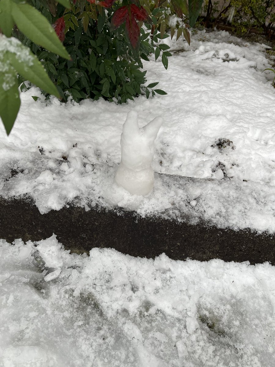 「雪遊びをしました。 」|虚至のイラスト