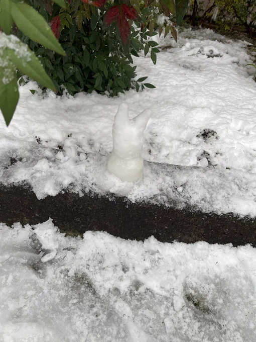 雪遊びをしました。 