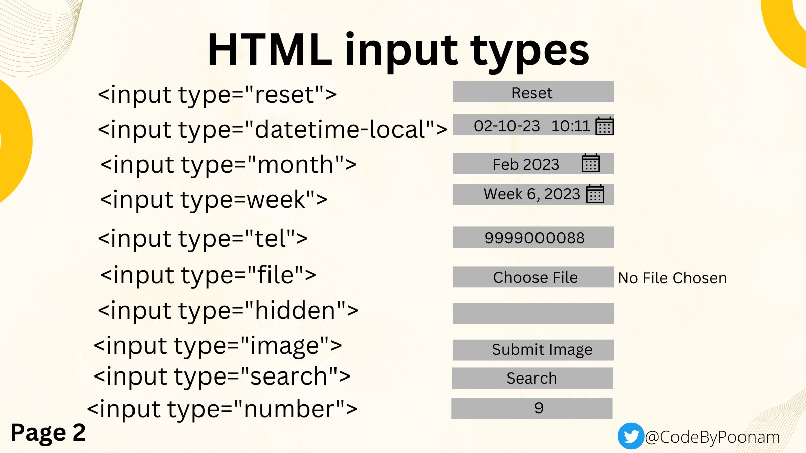 Input type 2024 hidden in html