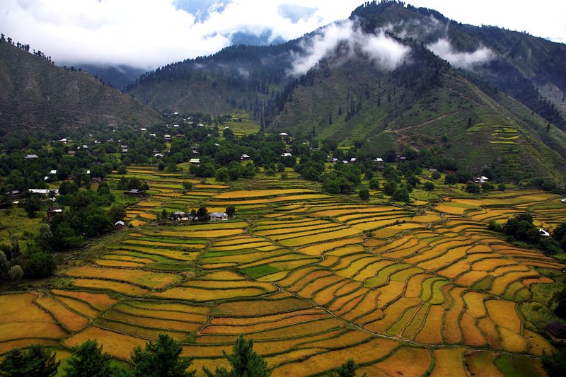 ExploreDeNature's tweet image. The Leepa Valley is an arable valley situated in the Hattian Bala District of Azad Jammu and Kashmir, Pakistan. It is located approximately 83 kilometers from the capital city of Muzaffarabad. 

#Leepa #Valley #Kashmir #traveling  #toursim
#nature #NaturePhotography