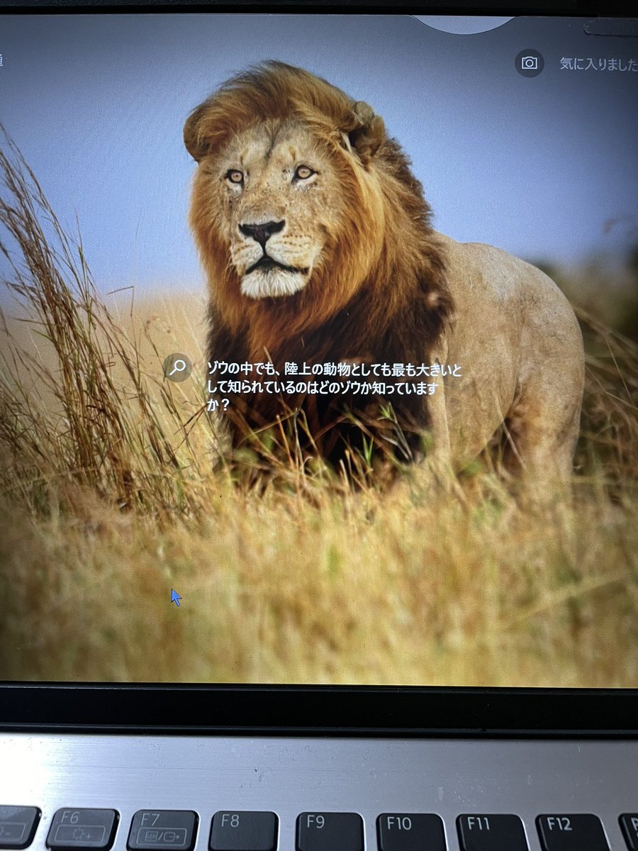 EmbengDev's tweet image. Windowsのロック画面がバグってる。