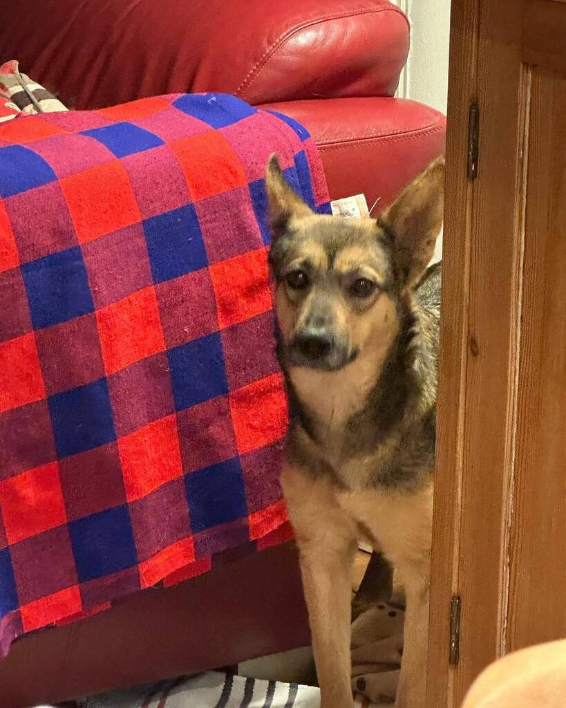 Rory Cellan-Jones tweet media