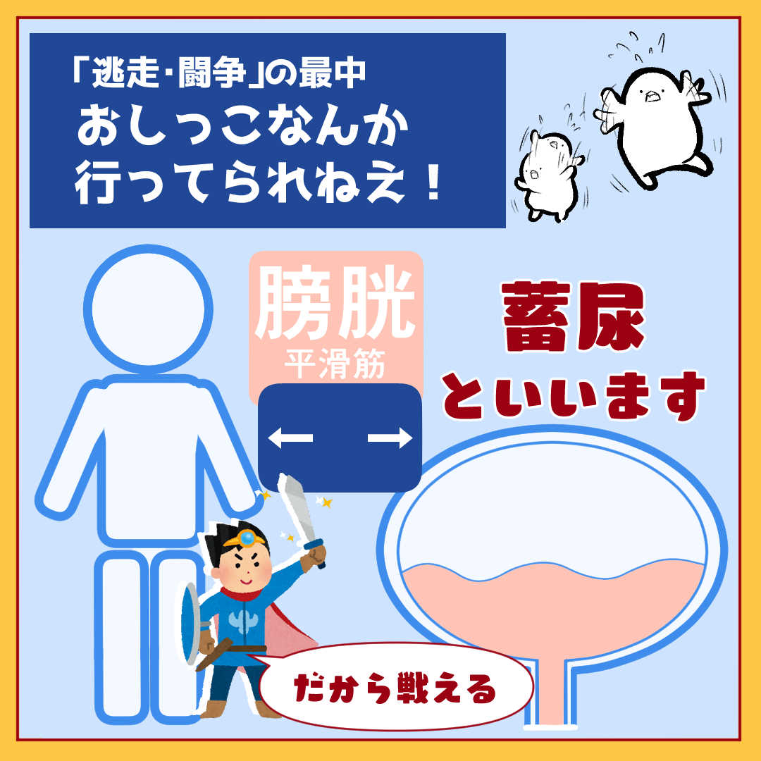 そして薬に活用されている・・・ 