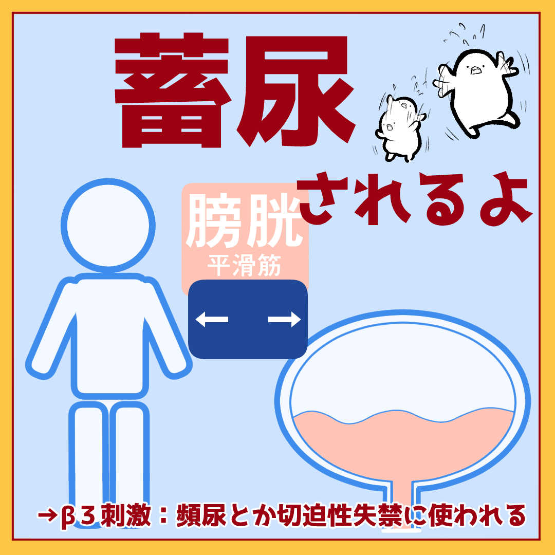 そして薬に活用されている・・・ 