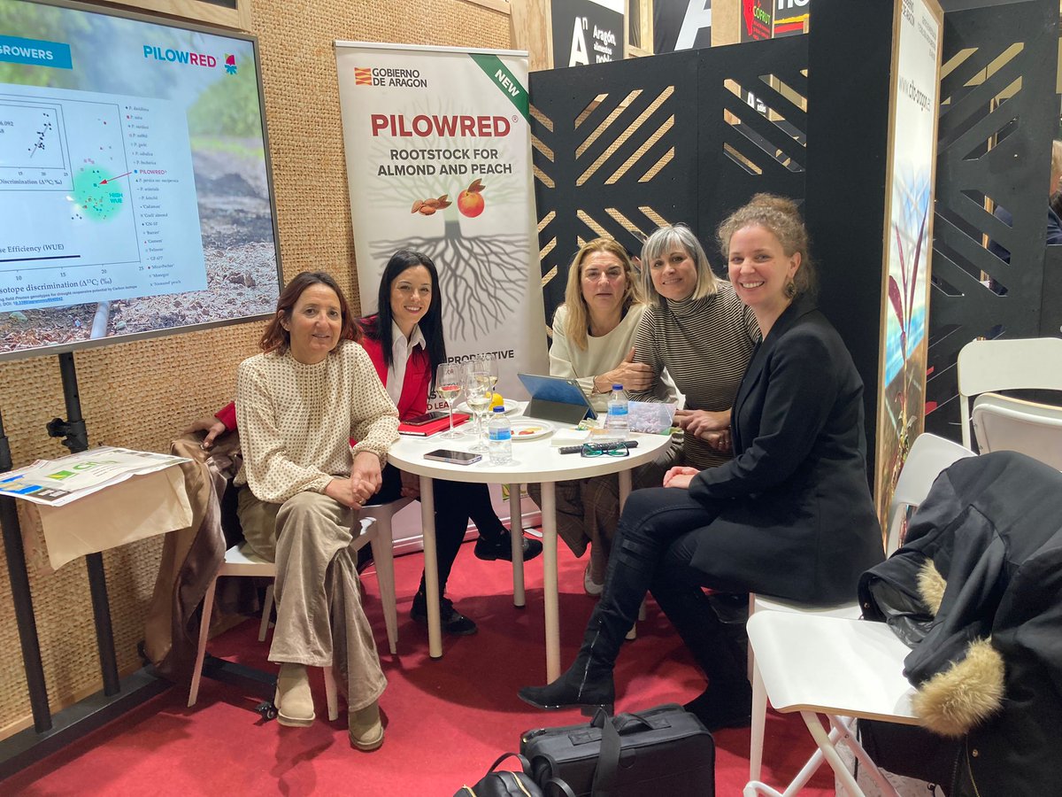 CITAAragon's tweet photo. 🇪🇸[ESP] 

Hoy es el último día para que puedas conocer el #portainjerto #PILOWRED® en el @FruitLogisticaE  en Berlín 🇩🇪 

🔛¡Pásate por el Pabellón 8.2 y Stand B69 📍del 
Messe Berlin y te llevarás una sorpresa! 🫢🎁

#fruitlogistica2023 https://t.co/BNgkUgTZv6