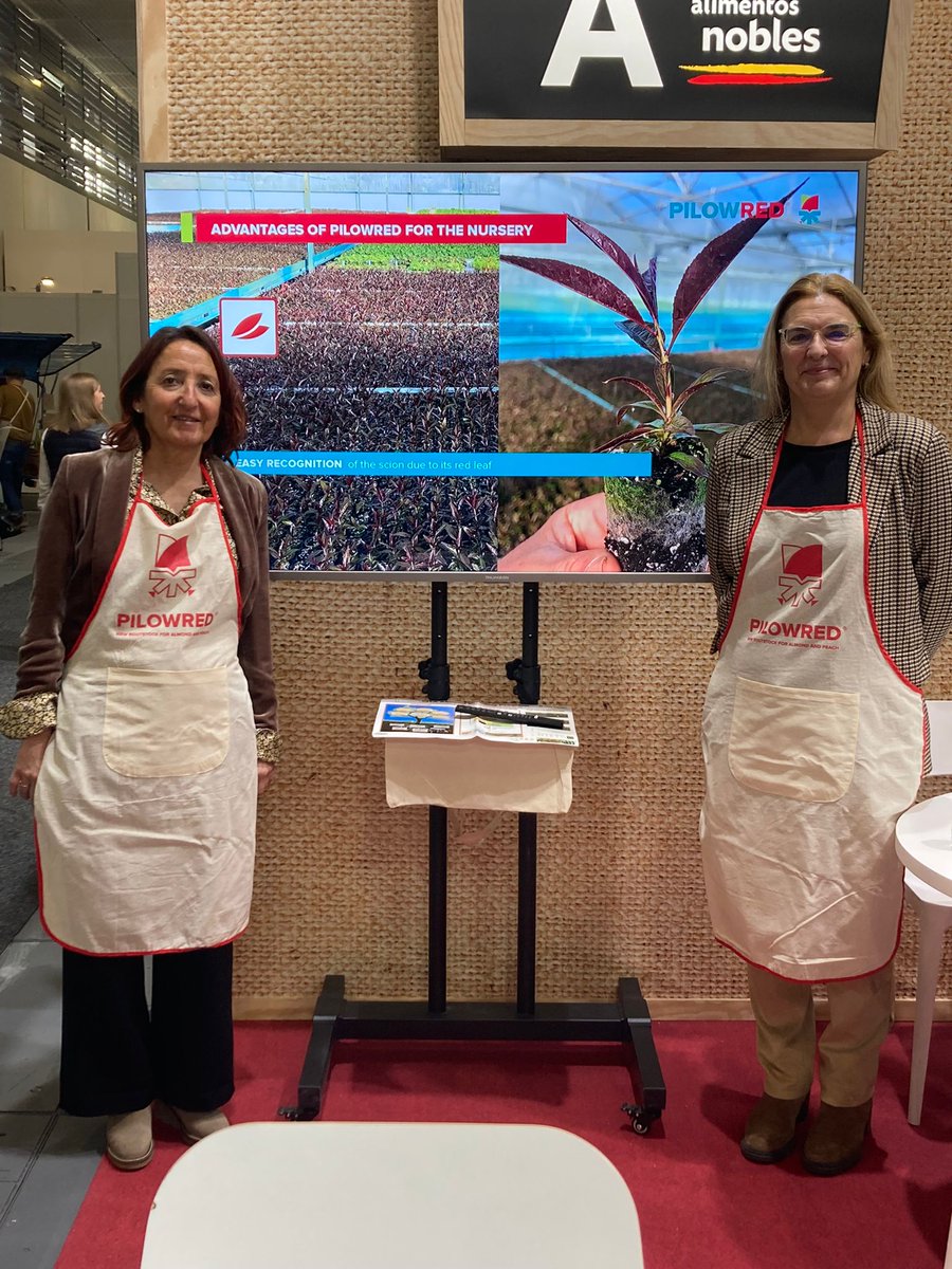 CITAAragon's tweet photo. 🇬🇧[ENG] 

Today is the last day for you to get to know the #PILOWRED® rootstock at the @Fruit_Logistica in Berlin 🇩🇪 

🔛 Come by Hall 8.2 and Booth B69 📍of the 
Messe Berlin and you'll be in for a surprise! 🫢🎁

#fruitlogistica2023 https://t.co/agKgSnyr1J
