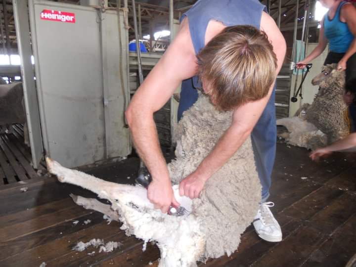 Pat Taggart tweet media