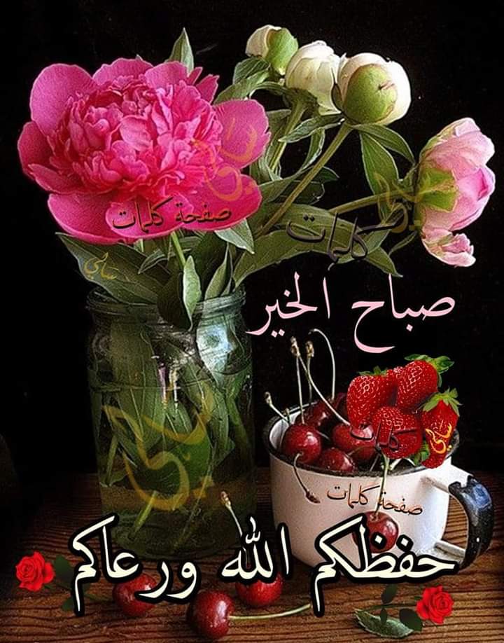 salah omar (@salahom73034959) on Twitter photo 