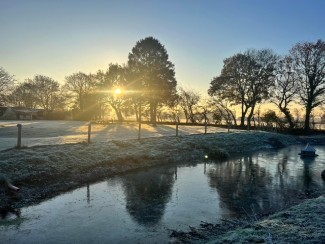 PylonsEAnglia's tweet image. LOOK!!  BEAUTIFUL!!!  ⬇️⬇️⬇️#eastanglia #dontrepeatmistakes #doitproperly