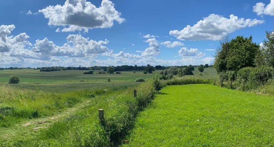 PylonsEAnglia's tweet image. LOOK!!  BEAUTIFUL!!!  ⬇️⬇️⬇️#eastanglia #dontrepeatmistakes #doitproperly