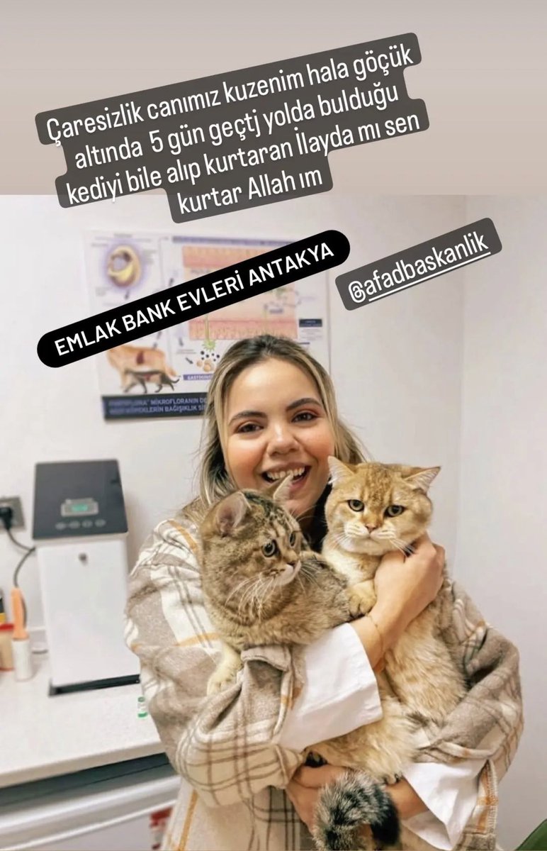 drerkanyardimci's tweet photo. Kuzenim İlayda enkaz altında ellerini oynatarak ses çıkarmış. 5. gün artık hali kalmamıştır. Aynı odadaki kedisi canlı olarak görülmüş. Lütfen yardım edin. 
Emlak konut evleri/Antakya 

@AFADTurkiye @ahbap @BabalaTv @ProfDemirtas https://t.co/pQmHWEeqJ3