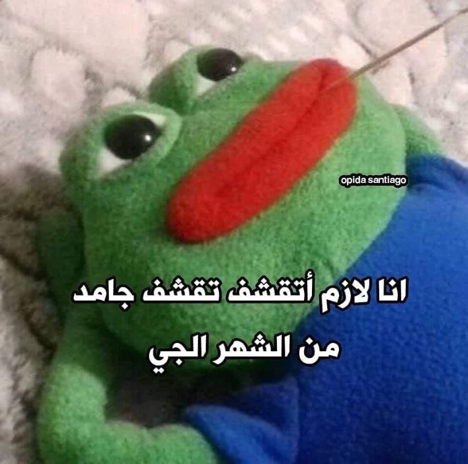Ayasarhan151's tweet photo. صباح الخير https://t.co/FXqhDTDlNM