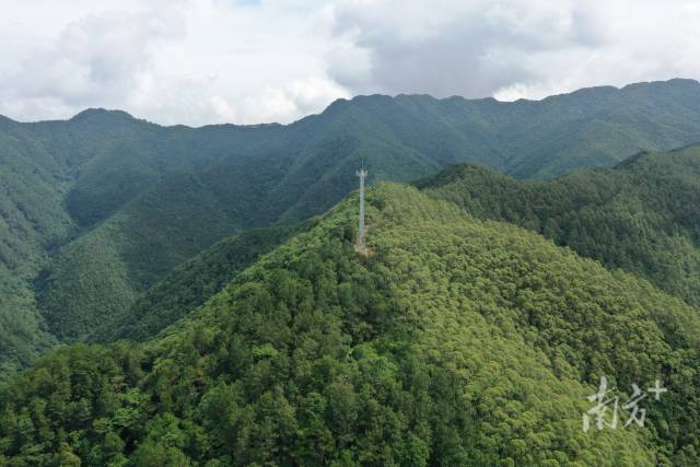 iGuangdong's tweet photo. 🌲🌲 More efforts will be made in #Guangdong province for a greener future. According to the province’s forestry bureau, each city, county, district and State-owned forest farm is expected to build at least one ecological demonstration area in 2023. #EcoGD @GreenChina2030 https://t.co/pHeCpKcrZW