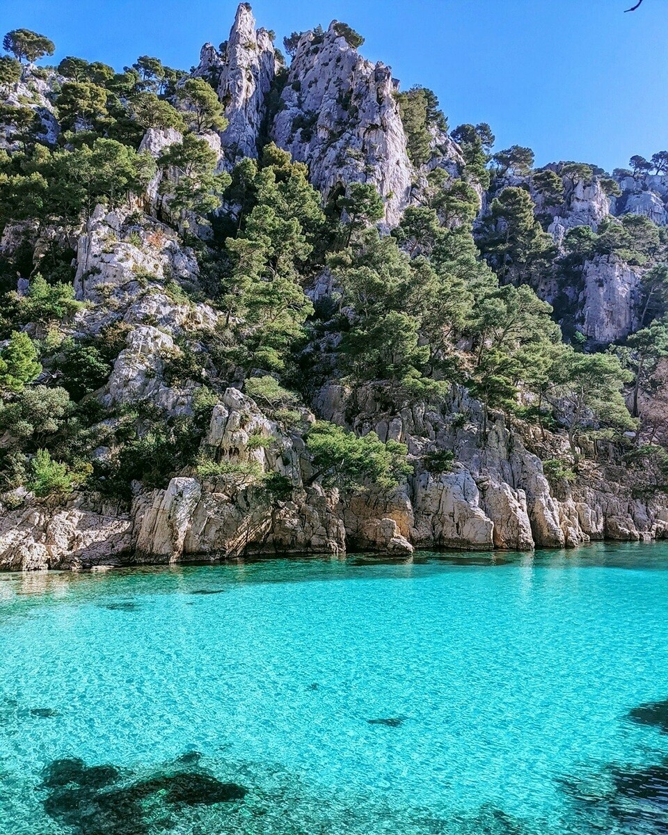 laprovence's tweet photo. On se croirait au bout du monde et pourtant... Avec ses falaises, sa nature verdoyante et son eau cristalline, la Calanque d’En-Vau est une véritable œuvre d'art à ciel ouvert 💚
Crédit photo : stephanecleret
#EnVau #Calanque #Nature #Marseille https://t.co/zJPd8exfKx
