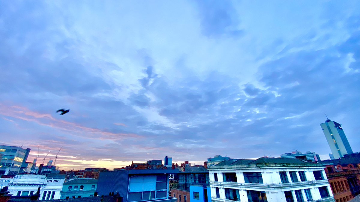 Pasta Paul tweet media