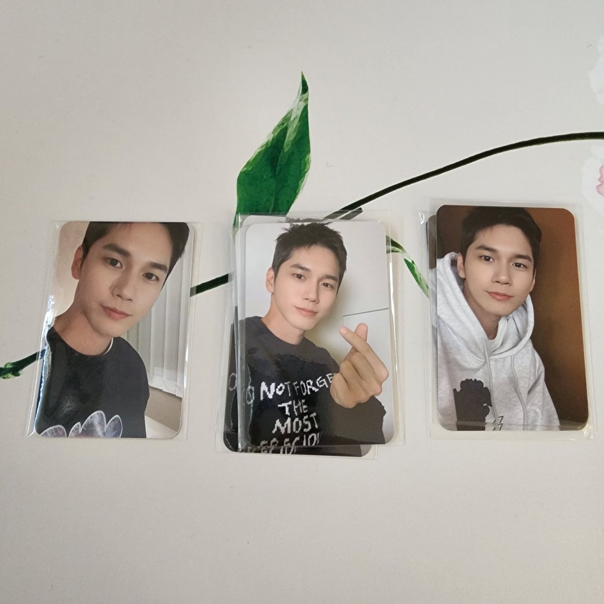 WNO_ONGSW's tweet photo. 옹성우 참스 교환구합니다

사진에 있는거 말고 나머지 두장 구해요

가운데랑 오른쪽 포카랑 교환해주실 분 연락주세요!

브로마이드도 교환구합니다
장갑낀거 있어요!

#옹성우 #참스 #포카교환 https://t.co/xXctZcJWO5