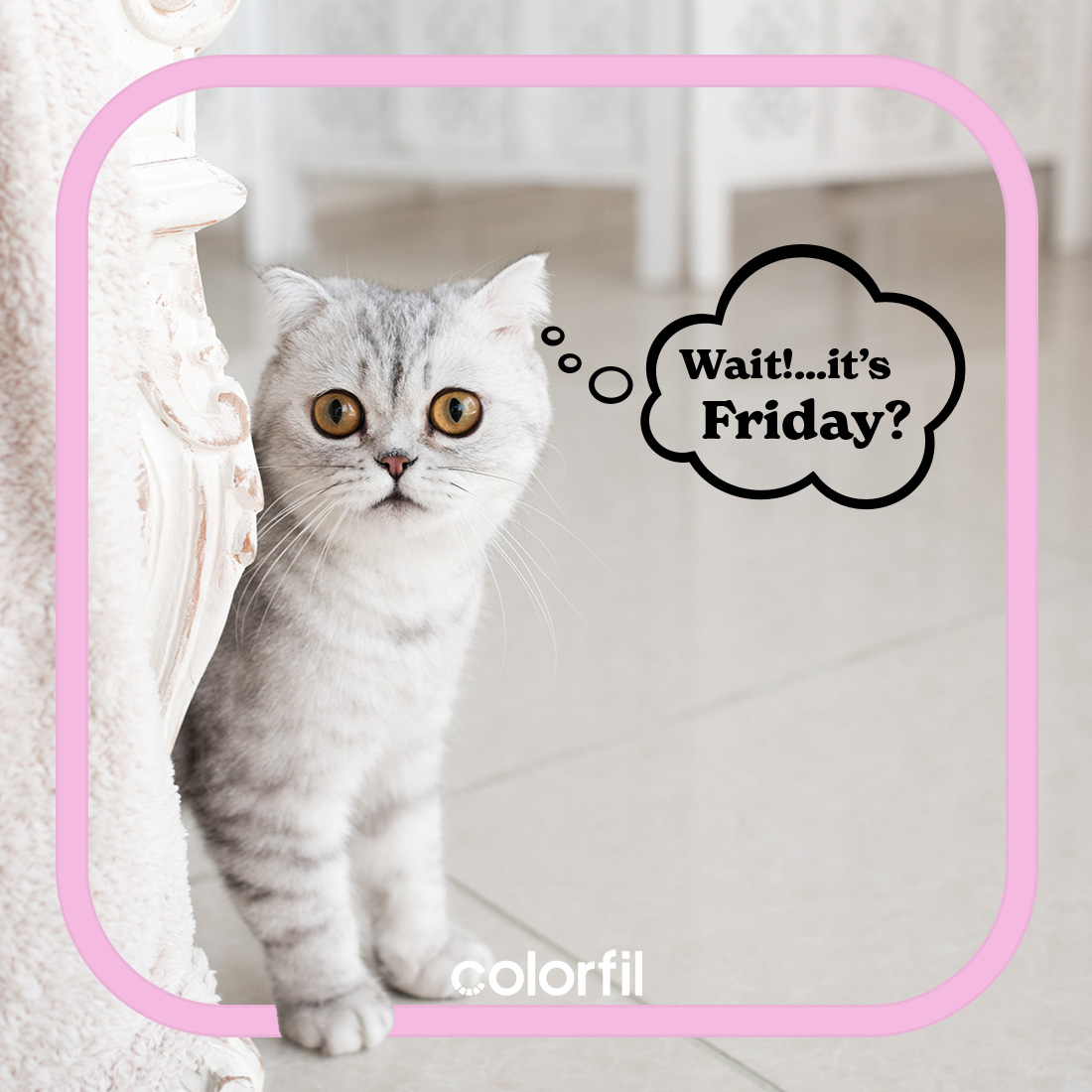 Colorfil Air Filters (@colorfil_air) on Twitter photo Feeling good this Friday morning! Hope everyone gets to spend some extra time with those adorable furry friends this weekend! #friday #colorfil Feeling good this Friday morning! Hope everyone gets to spend some extra time with those adorable furry friends this weekend! #friday #colorfil