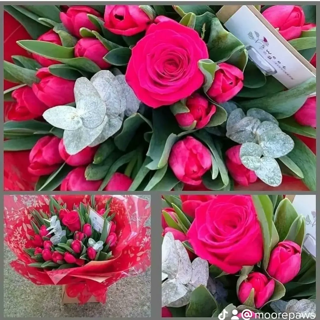 SPFloristry's tweet photo. Valentine's Day 🌹
Now taking orders.
07708051554 - Whatsapp to order.
#sweetpeafloristry #preston #prestonflorist #valentinesday #prestonvalentines https://t.co/enjAjUNk7g