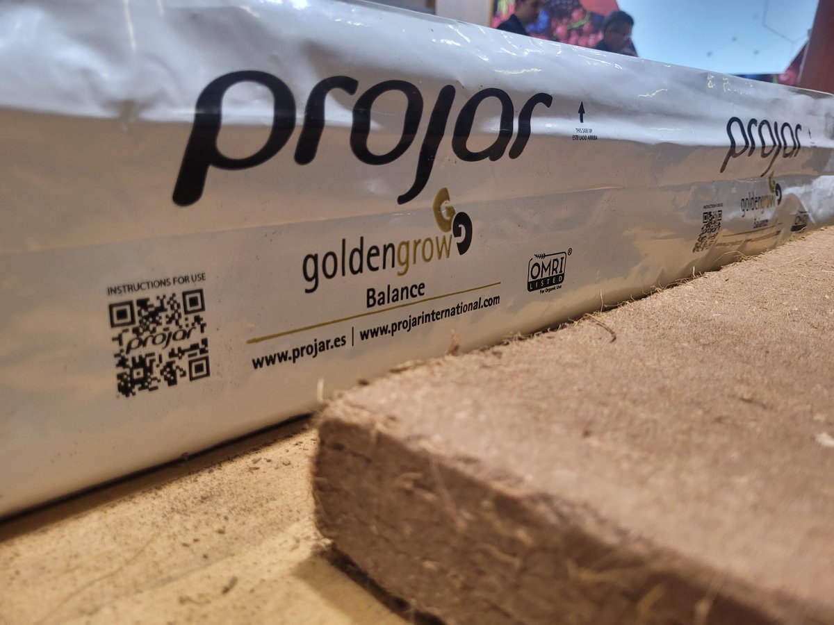 ProjarInt's tweet photo. Last day at @Fruit_Logistica !
Welcoming everyone at our stand and taking advantage of every second to learn and explain our work in soilless cultivation. Thanks to all the people who have visited us!
See you soon Berlin!
#projar #projarinternational #fruitlogistica23 https://t.co/VyyiZfaRiq
