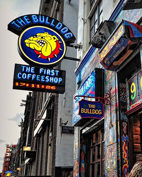 pauldbowen's tweet photo. #Amsterdamage #Bulldog https://t.co/GUP9z7r5SF