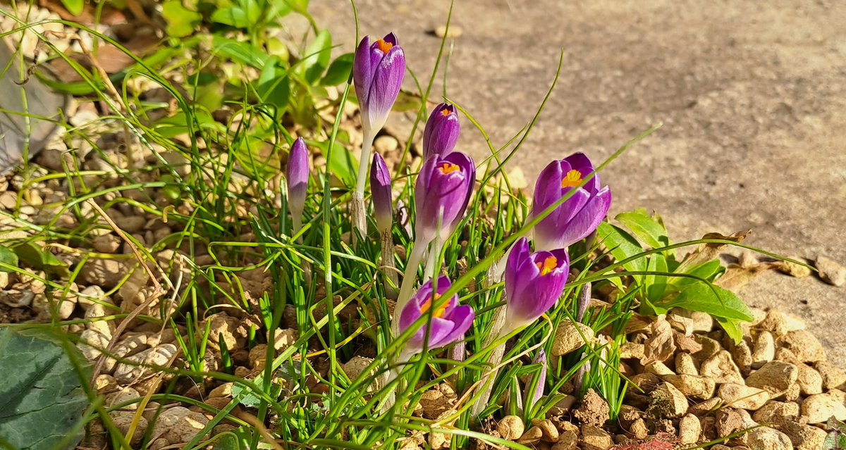 Looks like it's almost Spring #banbury